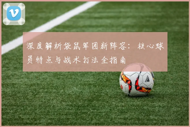 深度解析袋鼠军团新阵容:核心球员特点与战术打法全指南