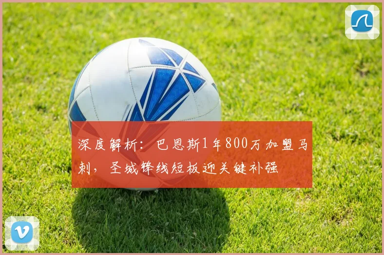 深度解析：巴恩斯1年800万加盟马刺，圣城锋线短板迎关键补强